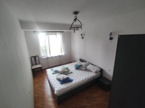 Comfortable house in comfortable place